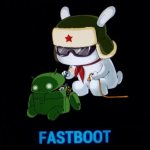 phone in fastboot mode